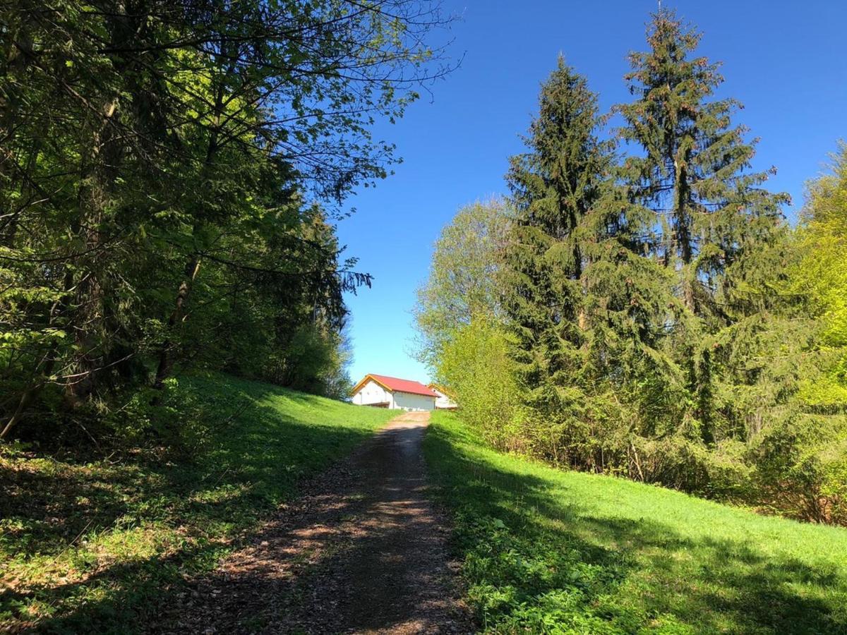 Oachkatzlschwoaf Villa Arnoldstein Luaran gambar